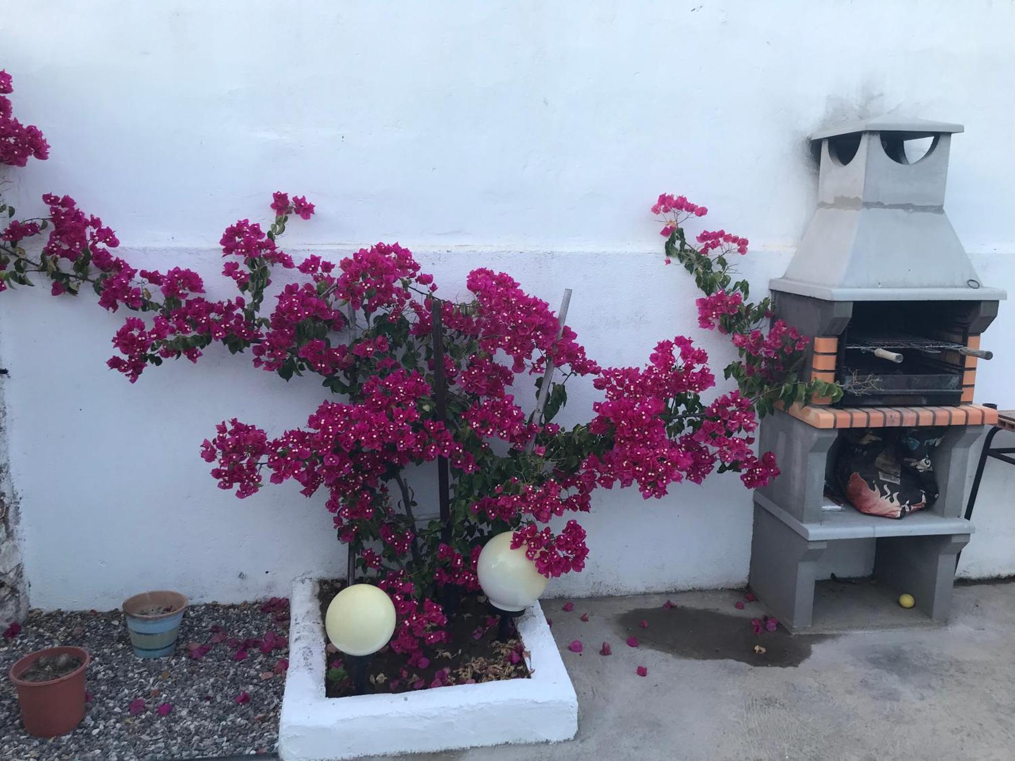 Casa Santo Antonio Διαμέρισμα Pias  Εξωτερικό φωτογραφία